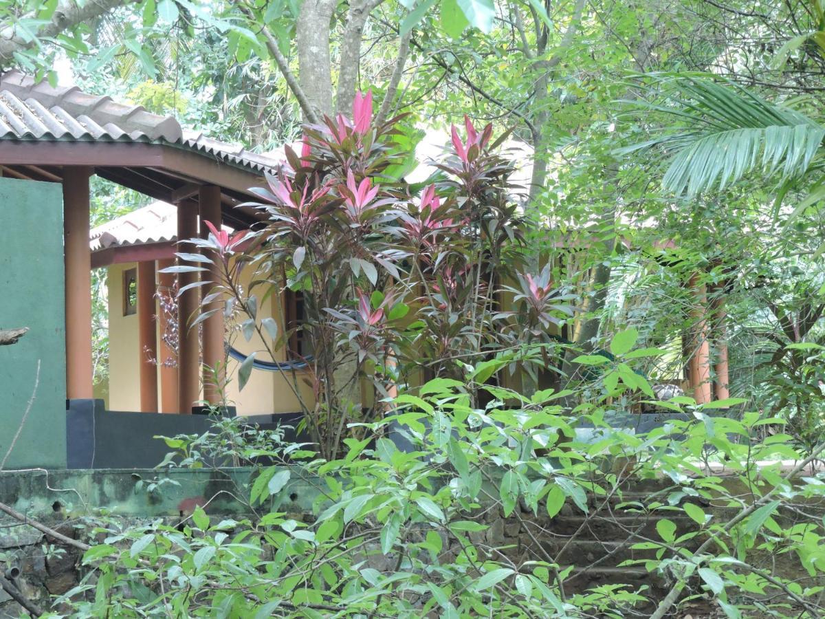 Richards Cabanas Tissamaharama Exterior foto